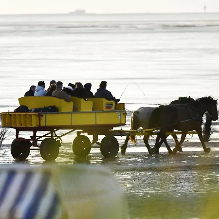 דירה Haus Am Waldbad Aw14 קושהאבן